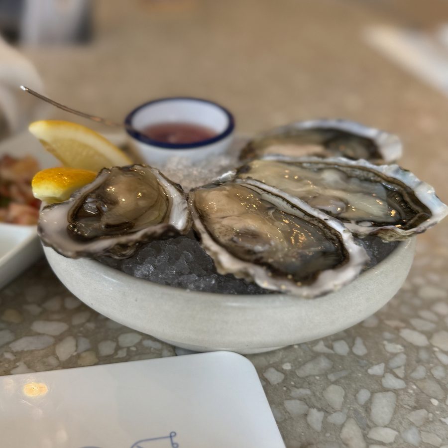 Oysters on ice at Oesters e Coisa, 2025