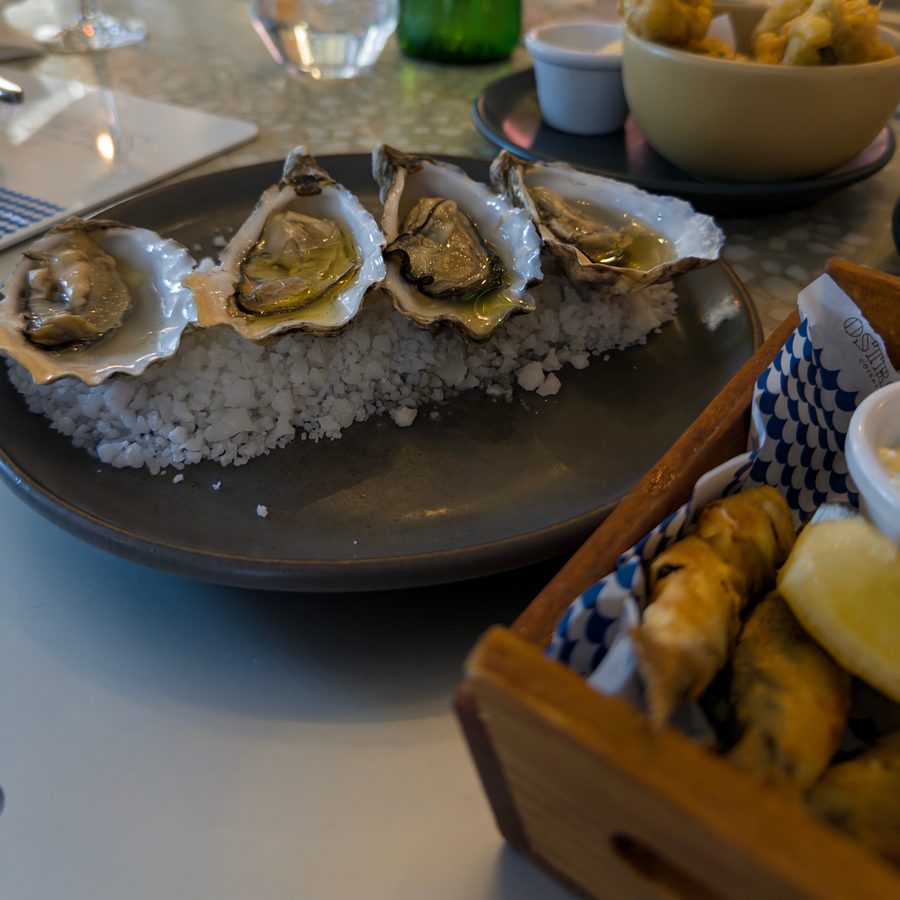 Oysters on ice at Oesters e Coisa, 2025
