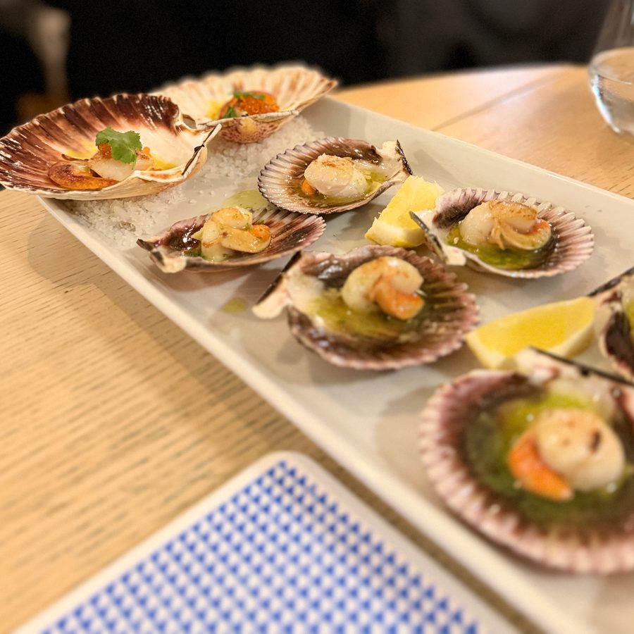 Scallops at Oesters e Coisa, 2026