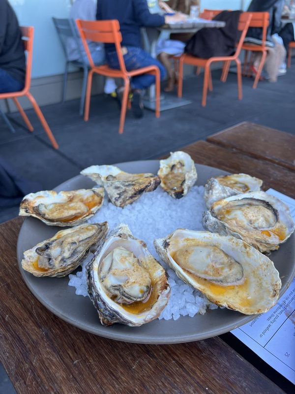 Hog Island Oyster — Larkspur · Marin
