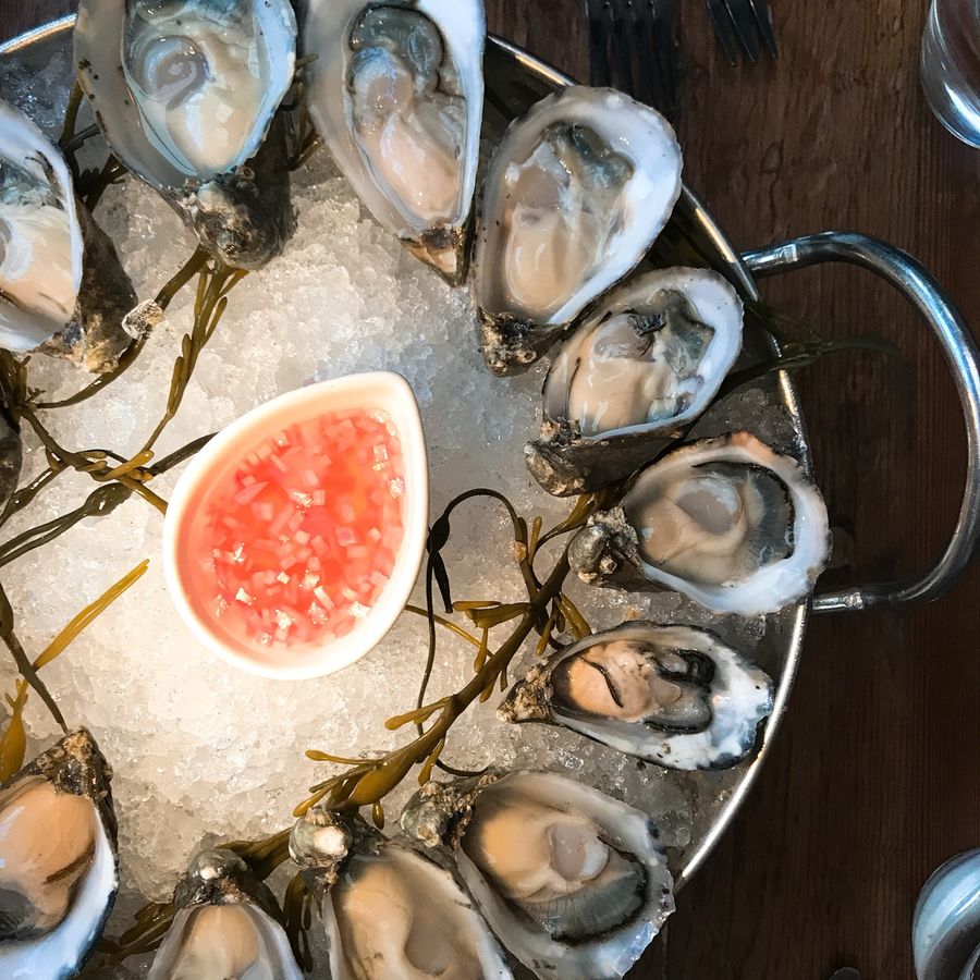 Oyster platter at Foreign Cinema, 2017