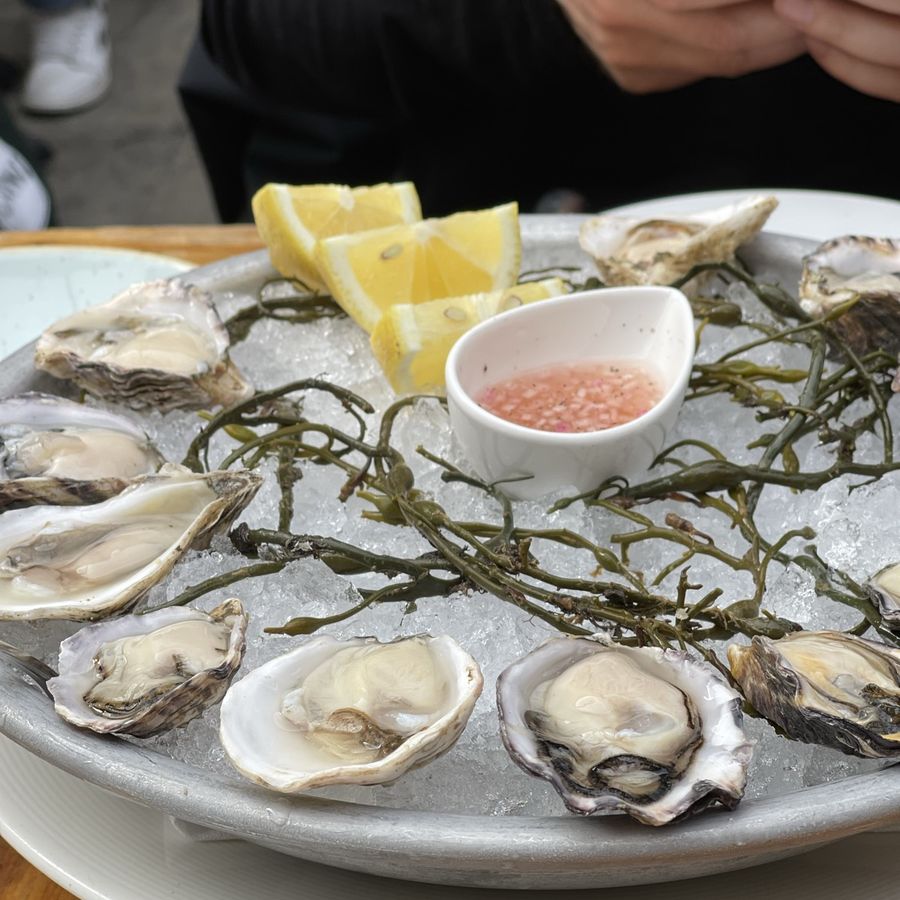Oyster platter at Foreign Cinema, 2021