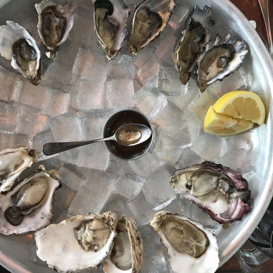 Oysters on ice at Zuni Café, 2017