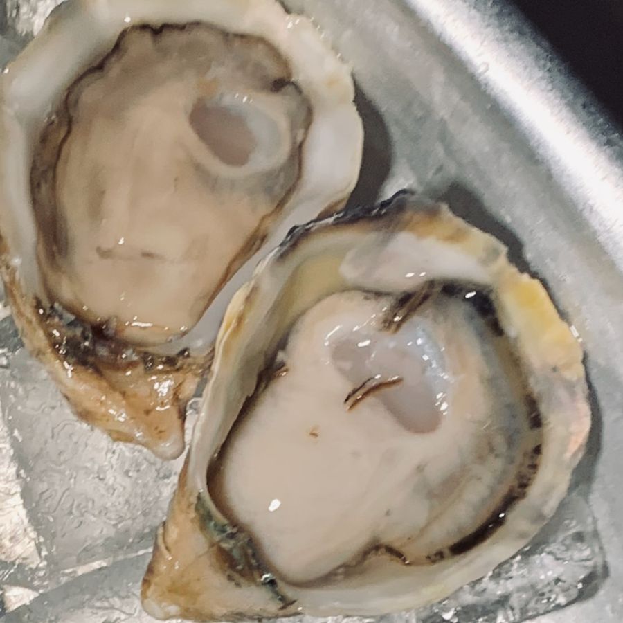Oysters on ice at Zuni Café, 2019