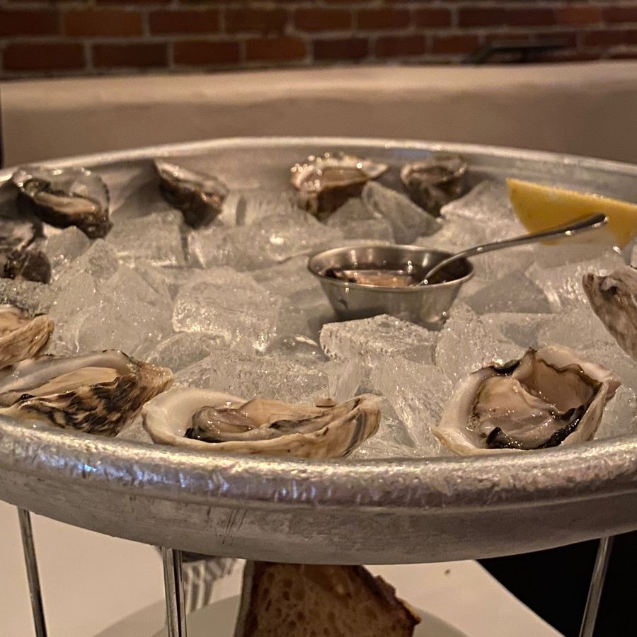 Oysters on ice at Zuni Café, 2020