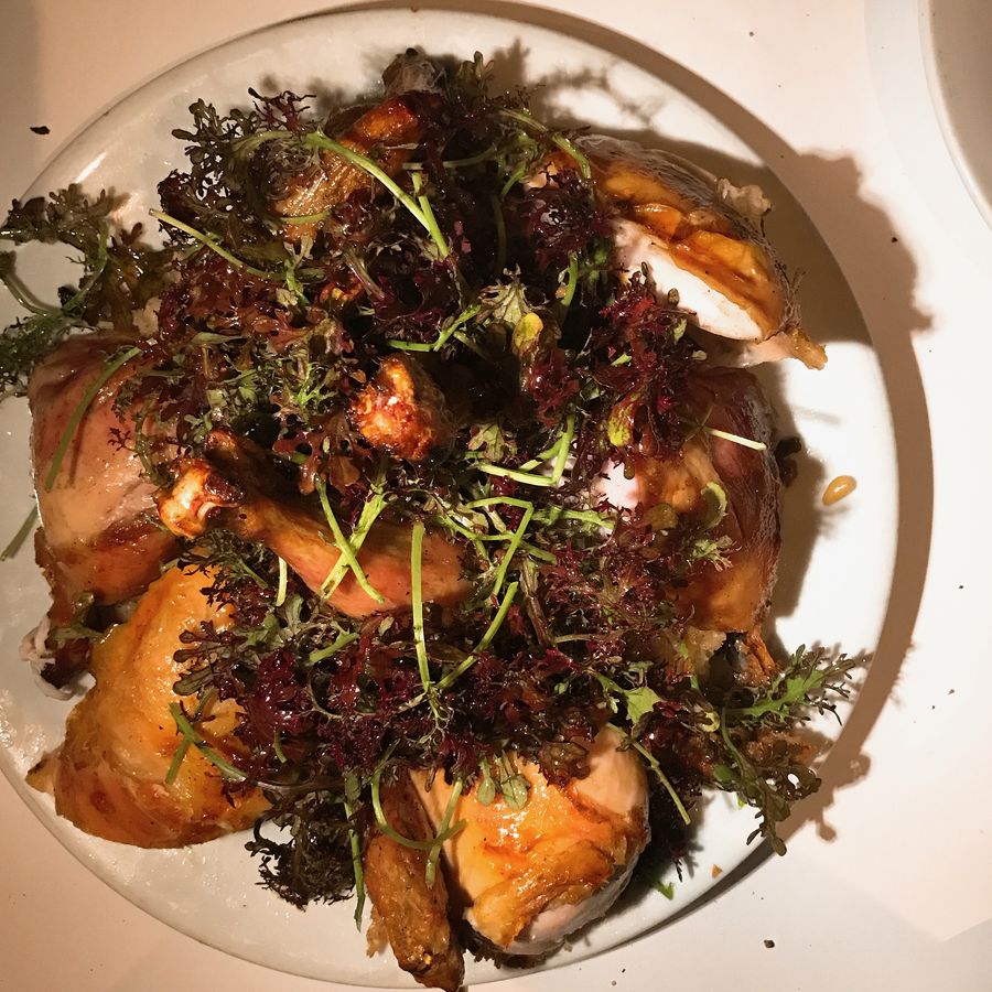 Roast chicken with bread salad at Zuni Café, 2017