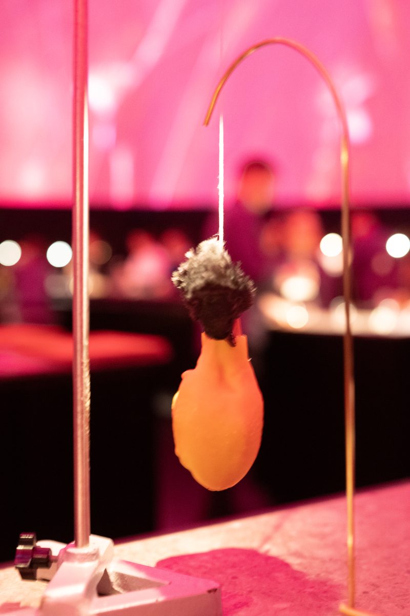 Dinner at Alchemist, Copenhagen